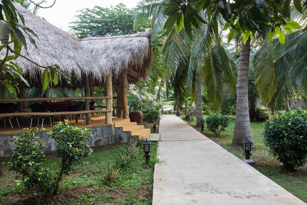 椰子花园餐厅酒店 蒂瑟默哈拉默 外观 照片
